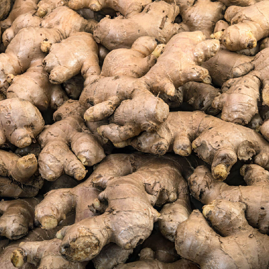 Dried Split Ginger Agro Commodities