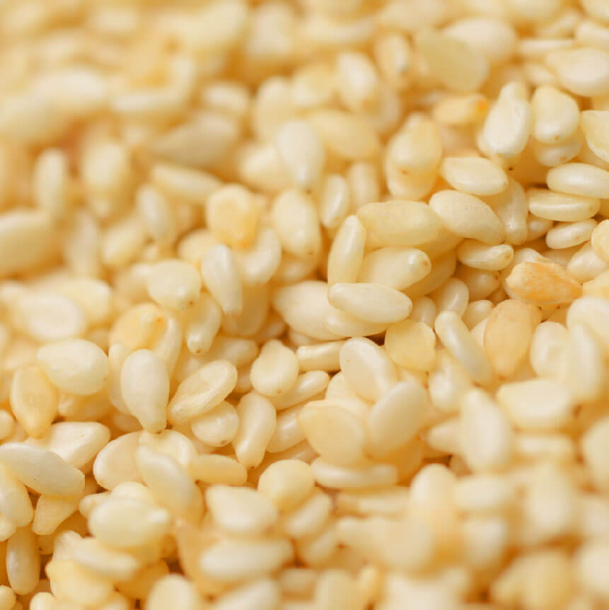 Natural White Sesame Seed Agro Commodities